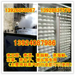 更高效，更节能——2018新款高旺醇油蒸汽发生器助力食品厂转型升级